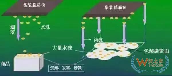 集裝箱里進(jìn)水，誰的錯？如何預(yù)防應(yīng)對？貨之家