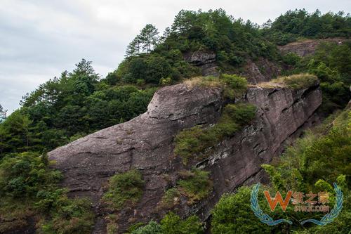 龍巖京東保稅倉,保稅倉服務(wù),保稅倉直郵,進口跨境電商,中國跨境電商—貨之家